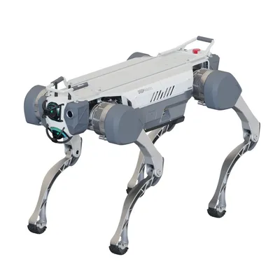 Deep Robotics X30