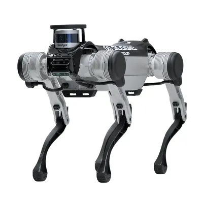 Deep Robotics JY X20